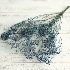 yP10{ z vU[uht[ ԍ o AeB[NvUEJX~ u[  JX~ JX~ ݑ vU[uht[ XbO u[P ԑ [X n_