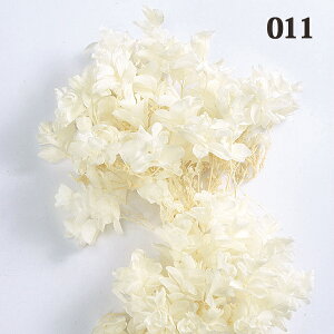 yP10{ z vU[uht[ ԍ o JVoAWTC ItzCg AWTC  z Ԃт vU[uht[ XbO u[P hCt[ ԑ n_