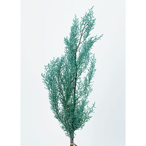 �yP10�{ 12/31�܂ŁI�z �v���U�[�u�h�t�����[ �ԍ� �����o�� �u���[�A�C�X �p�E�_�[�O���[�� ���[�t �t �v���U�[�u�h�t�����[ �X���b�O �u�[�P �h���C�t�����[ �ԑ� ���[�X �A�����W �ԍ� ��n