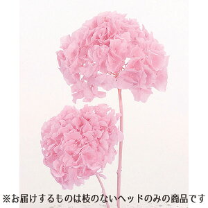 vU[uht[ ԍ o \tgCAWTCEwbh sN AWTC  z Ԃт vU[uht[ XbO u[P ԑ [X n_