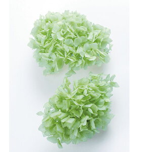 yP10{ z vU[uht[ ԍ o CAWTCEwbh NAO[ AWTC  z Ԃт vU[uht[ XbO u[P ԑ ԍ n_