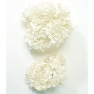 【40％OFF】 プリザーブドフラワー 花材 即日出荷 ゆめアジサイ・ヘッド オフホワイト アジサイ あじさい…