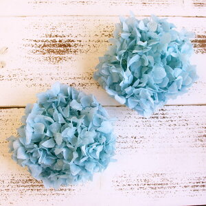 yP10{ z vU[uht[ ԍ o ߃AWTCEwbh u[ Z AWTC  z Ԃт vU[uht[ XbO u[P hCt[ DIY n_