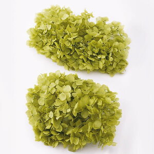 vU[uht[ ԍ o ߃AWTCEwbh CgO[ AWTC  z Ԃт vU[uht[ XbO u[P ԑ [X n_