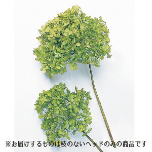 vU[uht[ ԍ o AixEwbh O[ F摜Ζꍇ܂ AWTC  z Ԃт XbO u[P DIY n_