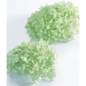 yP10{ z vU[uht[ ԍ o AixEwbh NAO[ AWTC  z Ԃт vU[uht[ XbO u[P hCt[  n_