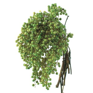 yP10{ z vU[uht[ ԍ o ybp[x[EvU[uh CgO[ vU[uht[ XbO u[P hCt[ ԑ [X AW n_