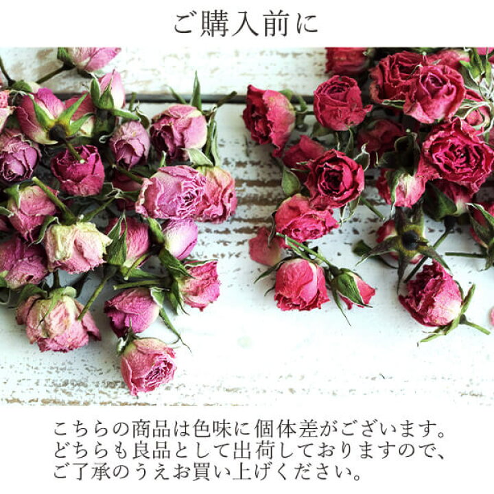 楽天市場】ドライフラワー 花材 即日出荷 ミニバラ・ドライ・ヘッド 