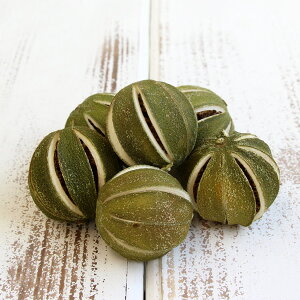 yP10{ z hCt[ ԍ o ۂۃC (16R) C hCt[ t[c hCt[c ʕ XbO [X AW ԍ f ޗ p[c n_