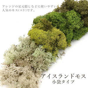 yP10{ 12/31܂ŁIz vU[uht[ ԍ o ACXhX  RP  X vU[uht[ hCt[ ǖ ǖʑ t[AW  [X ԍ 