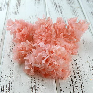 yP10{ z vU[uht[ ԍ o \tg vVXsN AWTC  z Ԃт vU[uht[ XbO u[P hCt[  