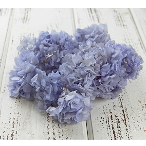 yP10{ z vU[uht[ ԍ o \tg xr[u[ Fꍇ܂ AWTC  z Ԃт vU[uht[ XbO 