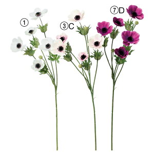  Ƃ悹i AllX5ڂX2 A[eBtBVt[ CeA CeAt[ tFCNt[ VNt[ A[gt[ AXJ ASCA AXJ