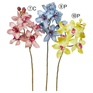 yP10{ 12/31܂ŁIz  Ƃ悹i VrW[×6 ڂ×3 VrWE Vrf[ VrfBE 轏֗ QCVE   u[ p[v F DIY AXJ ASCA AXJ