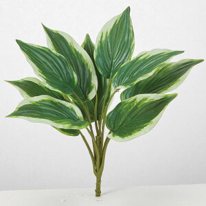 yP10{ z O[   Ƃ悹i M{EV   ԍՒd    At[  [ Atoi Ebp ԍ AXJ ASCA AXJ