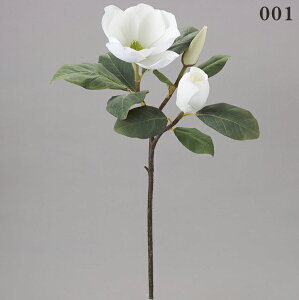 P10{ 10/14 20灚  Ƃ悹i }OmA a ؘ@ N CeA CeAt[ tFCNt[ VNt[ CeAO[ tFCNO[ A[gt