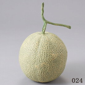楽天市場 メロン 花 観葉植物 花 ガーデン Diy の通販