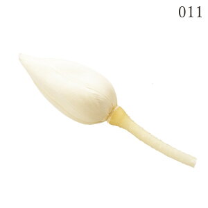 vU[uht[ ԍ Ƃ悹i nXEڂ݁E(8֓) hCt[ ޗ ԍ @  n[oE vU[uh[Y uU[uh Preserving n_