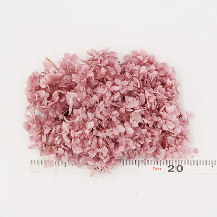485円 最新作の 《プリザーブドフラワー 花材》 即日出荷 大地農園 ソフトピラミッドアジサイ ヘッド 1箱2輪入り パールグレー 2019AW あじさい 紫陽花 プリザ 花材 485円 最新作の 《プリザーブドフラワー 花材》 即日出荷 大地農園 ソフトピラミッドアジサイ ヘッド 1箱2輪入り パールグレー 2019AW あじさい 紫陽花 プリザ 花材