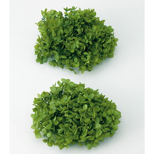 vU[uht[ ԍ o s~bhAWTCEwbh O[ AWTC  z Ԃт vU[uht[ XbO u[P ԑ [X n_