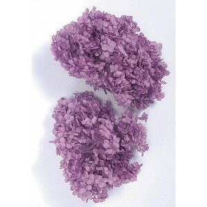 yP10{ z vU[uht[ ԍ o AixEwbh p[v AWTC  z Ԃт vU[uht[ XbO u[P hCt[ ԑ DIY n_