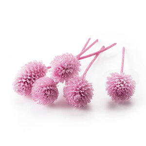 yP10{ z vU[uht[ ԍ o gEvU[uhEwbh NX^sN vU[uht[ XbO u[P hCt[ ԑ [X AW n_