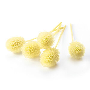 yP10{ z vU[uht[ ԍ o y40OFFzԌ gEvU[uhEwbh [jOCG[ vU[uht[ XbO u[P ԑ ԍ n_