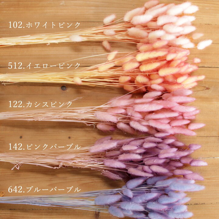 ふわふわkota32♡様 まわせ 専用 花びら ヘッド ドライフラワー 花材