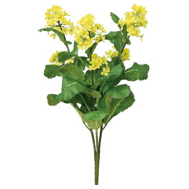 楽天市場 菜の花 花 観葉植物 花 ガーデン Diy の通販