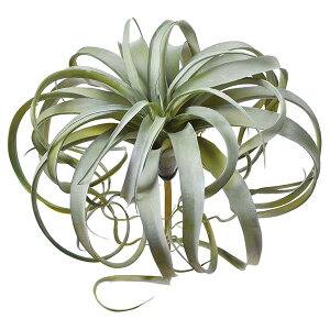 yP10{ z  O[ A Ƃ悹i LZOtBJ GAvc TbJe T{e CeA tFCN O[ p[c VNt[ AXJ ASCA AXJ