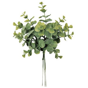  O[ Ƃ悹i -Jo`(13{) CeA tFCN O[ p[c CeAt[ tFCNt[ VNt[ ԍ AXJ ASCA AXJ