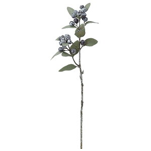 yP10{ 12/31܂ŁIz  O[ Ƃ悹i -JV-hXv- CeA tFCN O[ p[c CeAt[ tFCNt[ VNt[ ԍ t AXJ ASCA AXJ