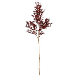 yP10{ 12/31܂ŁIz   O[ Ƃ悹i ~IO^X ~IN_X  VNt[ C~e[V A[eBtBVt[ tFCN Vt a AXJ ASCA AXJ