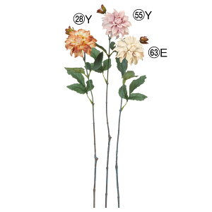 yP10{ z  Ƃ悹i _A×1 ڂ×1 VO Ă񂶂ڂ eWN{^ CeA CeAt[ tFCNt[ VNt[ t AXJ ASCA AXJ