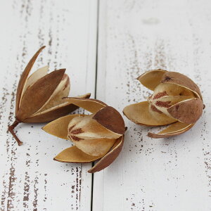 yP10{ z hCt[ ԍ o [  ؂̎ hCt[ [X AW ԍ f ޗ p[c AWg i` Rf  ԉ RAg[fBO