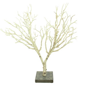 NX}X c[   O[ o u`c[X^h 40cm CeA EFJc[ NX}X  } Vr[VbN NX}Xc[ 