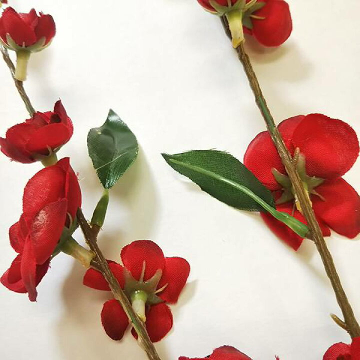 楽天市場】《 造花 》◇とりよせ品◇Parer 梅 レッド 和 梅 Japanese apricot プラム インテリア インテリアフラワー フェイクフラワー シルクフラワー インテリアグリーン フェイクグリーン 春 : 造花ドライフラワー専門問屋花びし 楽天市場】《 造花 》◇とりよせ品◇Parer 梅 レッド 和 梅 Japanese apricot プラム インテリア インテリアフラワー フェイクフラワー シルクフラワー インテリアグリーン フェイクグリーン 春 : 造花ドライフラワー専門問屋花びし