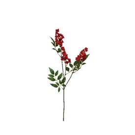 楽天市場 南天 実の通販