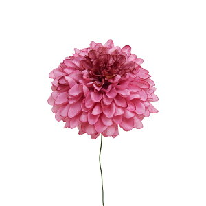 P10{ 10/14 20灚  Ƃ悹i {[}sbN AbVsN (4{) a e } CeA CeAt[ tFCNt[ VNt[ CeAO[ ԍ f