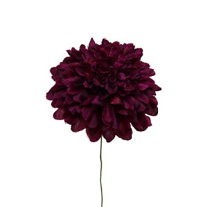  Ƃ悹i {[}sbN _[NO[v (4{) a e } CeA CeAt[ tFCNt[ VNt[ CeAO[ ԍ f p