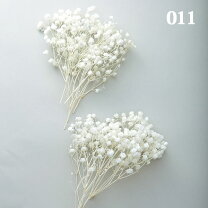 楽天市場】プリザーブドフラワー かすみ草の通販 