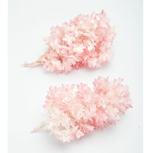 yP10{ z vU[uht[ ԍ o JVoAWTC zCgsN AWTC  z Ԃт vU[uht[ XbO u[P hCt[  n_