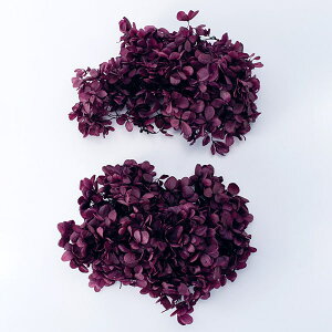 yP10{ z vU[uht[ ԍ o s~bhAWTCEwbh @CIbg AWTC  z Ԃт vU[uht[ XbO u[P ԑ  n_