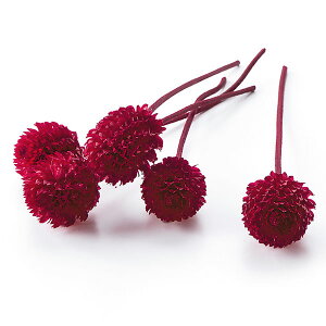 yP10{ z vU[uht[ ԍ o gEvU[uhEwbh bh vU[uht[ XbO u[P hCt[ ԑ [X AW ԍ f n_