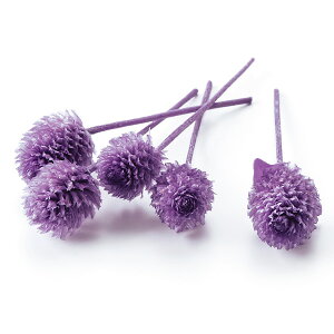 yP10{ z vU[uht[ ԍ o y40OFFzԌ gEvU[uhEwbh x_[ 30 vU[uht[ XbO u[P ԑ [X n_