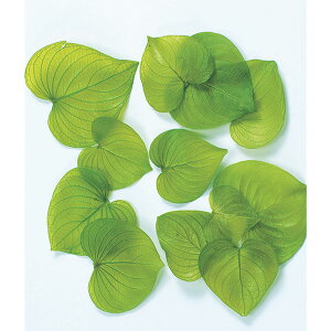 yP10{ z vU[uht[ ԍ o n[g[tEvU[uh CO[ vU[uht[ XbO u[P hCt[ ԑ [X AW t n_