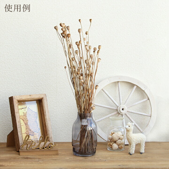 楽天市場】【40％OFF】 ドライフラワー 花材 即日出荷 シャーリー 
