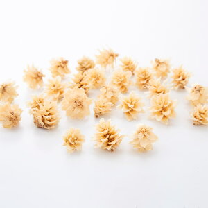 hCt[ ԍ o OC̎  ؂̎ t[c ʎ ibc hC Rf hCt[ i`hCt[ CeA v vU  n_