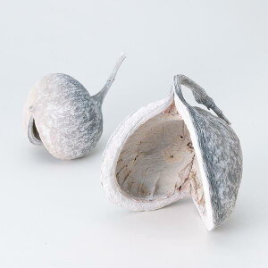 yP10{ z hCt[ ԍ o ub_ibc EHbVzCg hCt[ ؂̎ XbO [X AW ԍ f ޗ p[c AWg Rf n_