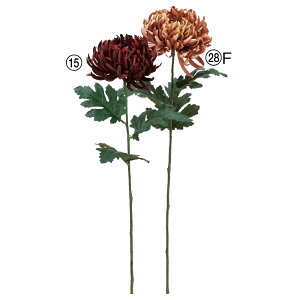 yP10{ 12/31܂ŁIz   Ƃ悹i } LN e a } CeA CeAt[ tFCNt[ VNt[ CeAO[ tFCNO[ AXJ ASCA AXJ